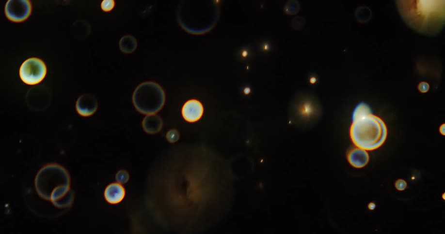 Bright rings and spots flow against dark background
