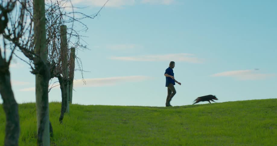 Man and his dog walk past a fallow vineyard