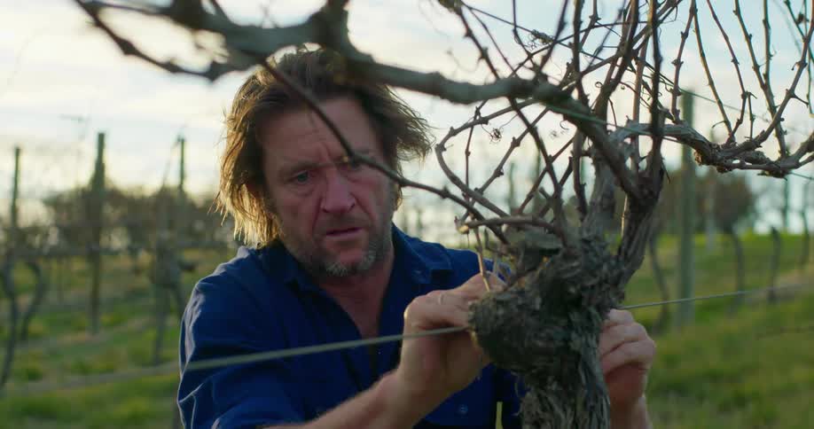 A man ties a wire to a tree