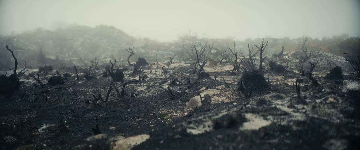 Fog moves over an area with bare tree limbs on roots of overturned trees across the ground with frozen puddles and a mountain in the distance