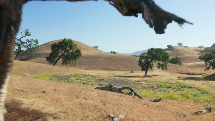 A landscape vies of rolling hills with trees