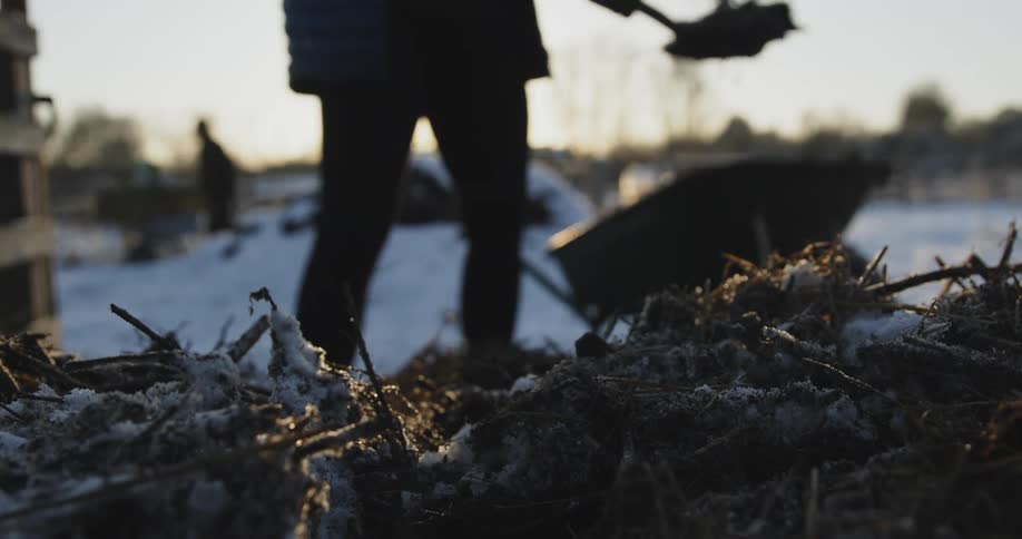 A person in a rural area shovels soil in to a wheel barrow