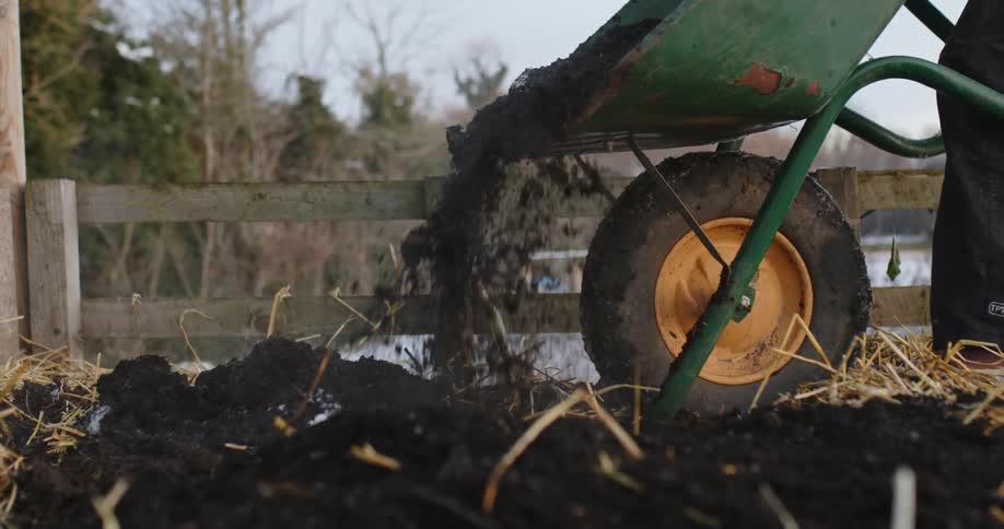 A man is tipping a wheelbarrow and dumping mulch onto the ground
