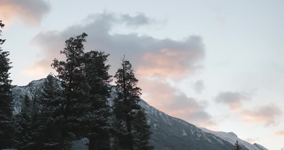 Landscape of snowy mountains and pine trees at dusk