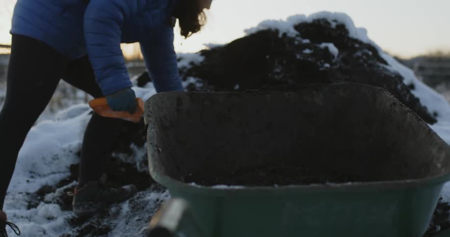 A person shovels soil into a wheelbarrow on a winter day