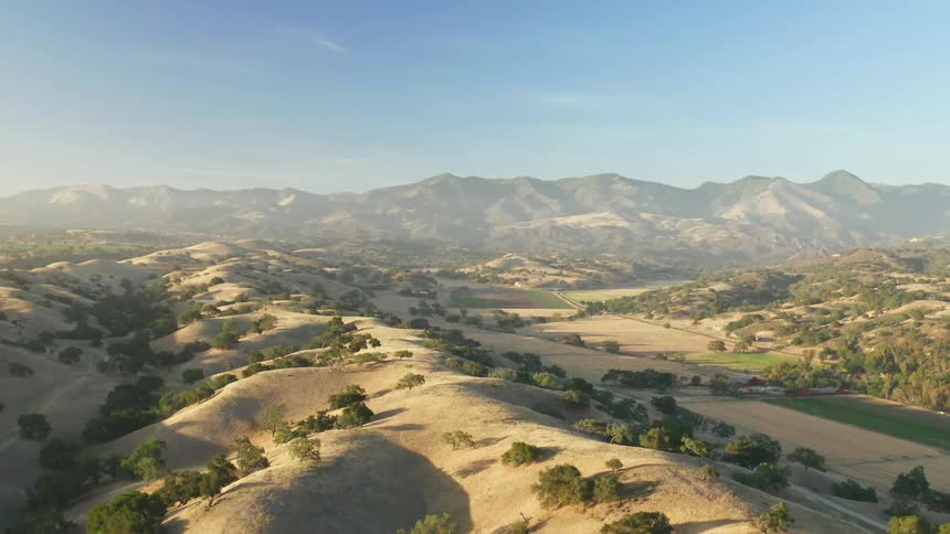 A hilly countryside dotted with trees under a clear blue sky