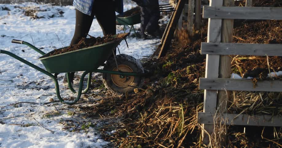 Two people wearing coats are standing outside using pitchforks to shovel mulch out of wheelbarrows and onto the ground