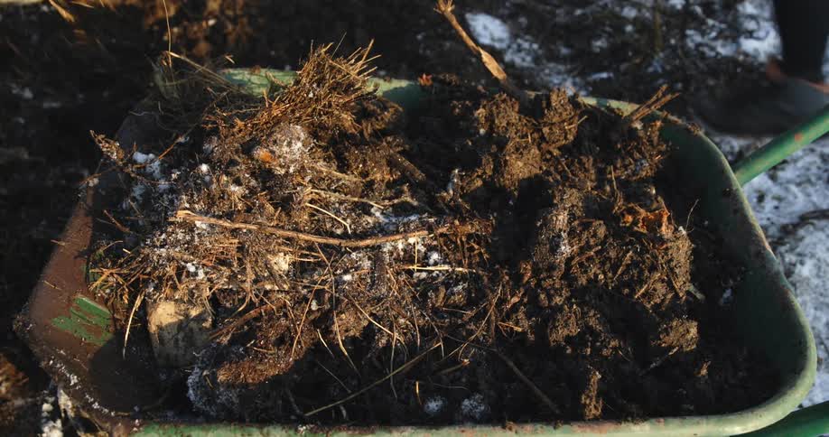 Two laborers fill wheelbarrow with dirt and straw in winter