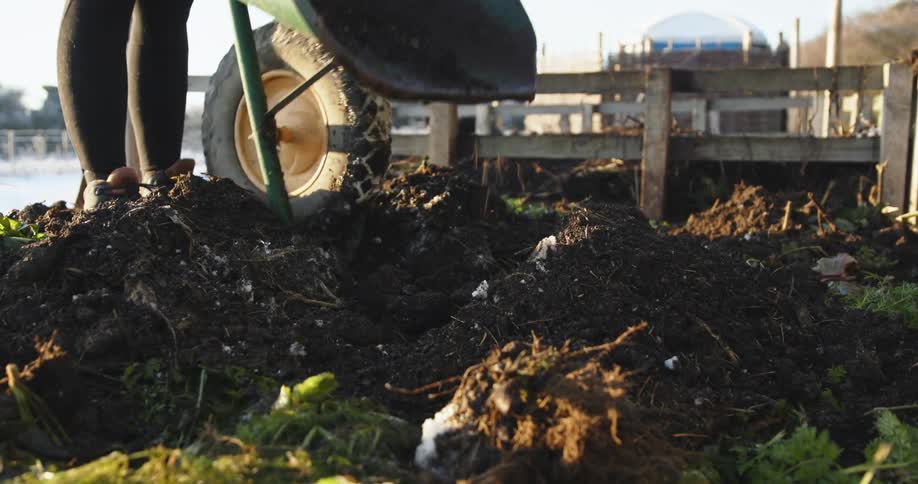 Person empties dirt from wheelbarrow onto ground as people move on deck close to water in the background