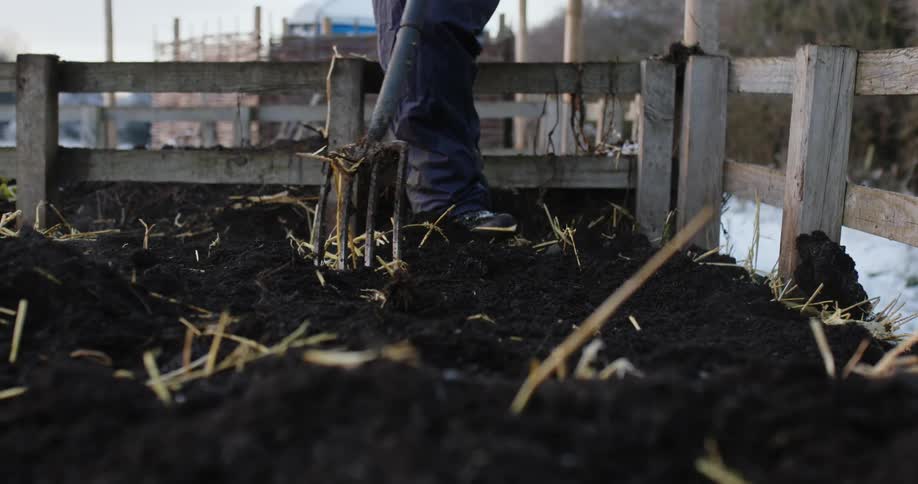 Laborer spreads dirt on straw near posts