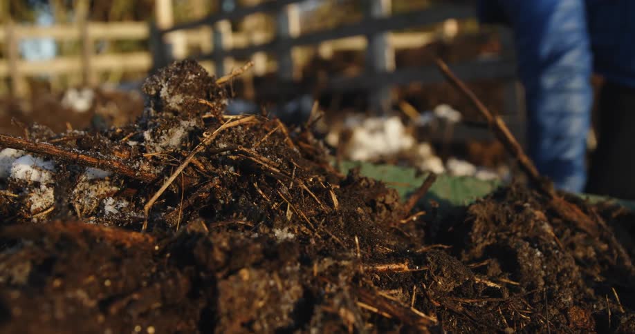 Two people are shoveling dirt on a farm and putting the dirt into a pile