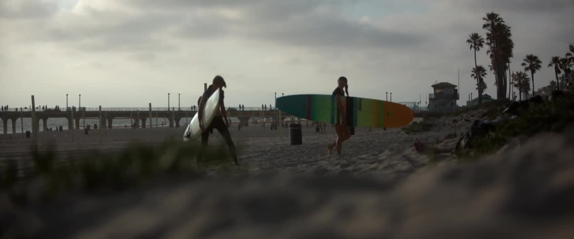 People holding surfboards and walking on the beach