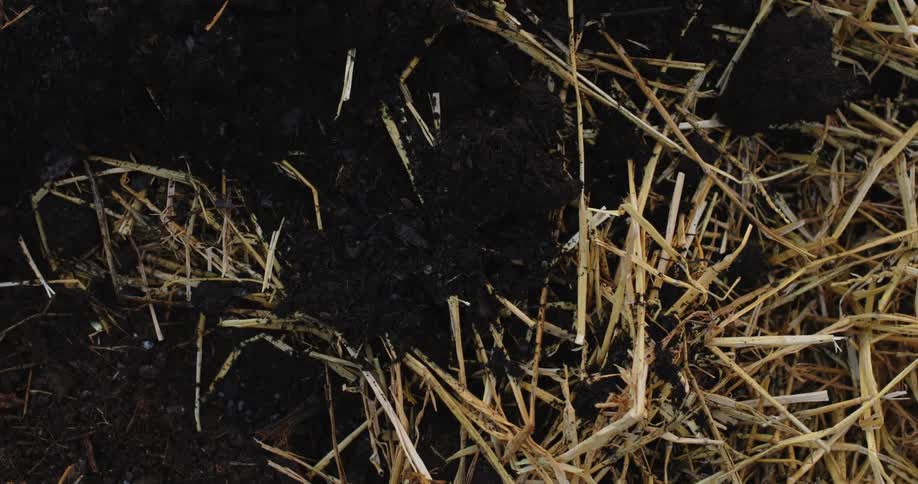 Dirt appears from the upper top and goes on to the straw