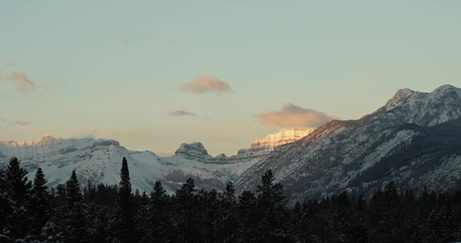 Pine tree forest in front of the snow covered slopes of a mountain range at evening