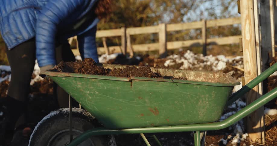 Woman uses a garden fork to load dirt on a wheelbarrow on a farm