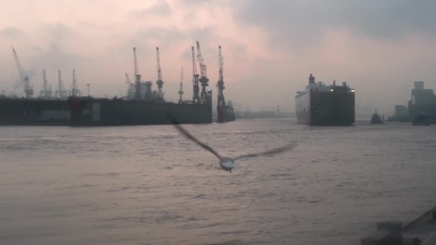 A bird flies off over the water on a cloudy day