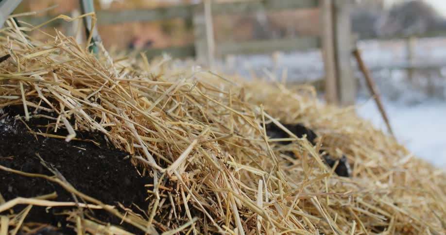 A person moves a wheelbarrow through straw and dirt