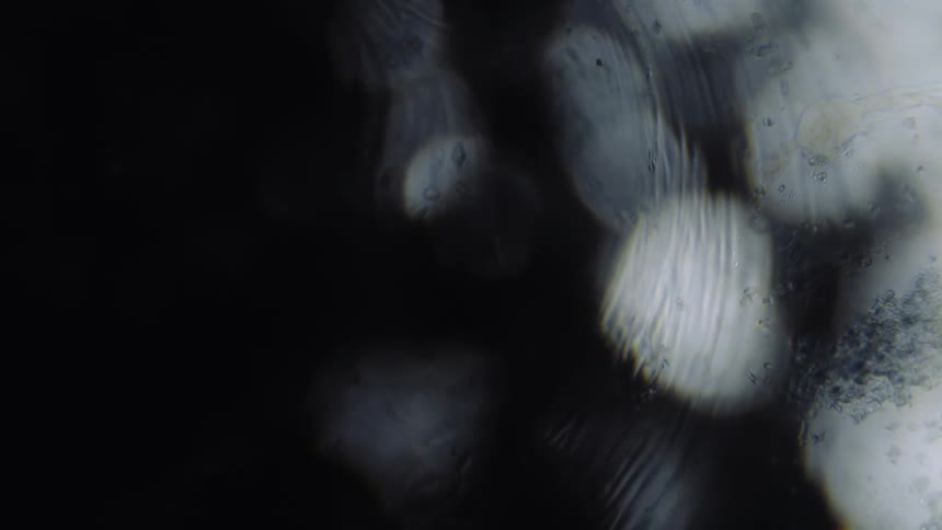 Ripples flow across surface of reflective water