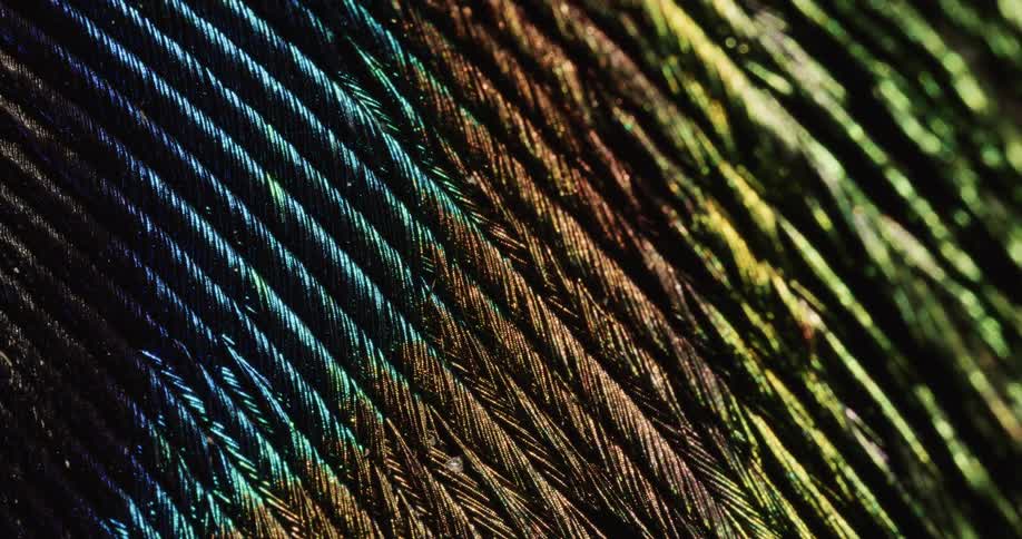 Light shines on rainbow colored fiber in the darkness