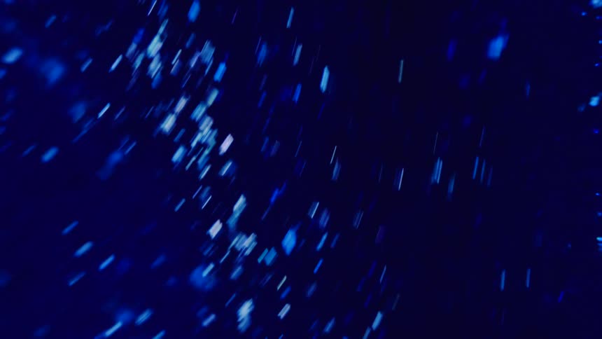 Glowing blue dots move around as they float and fly in an electric blue environment
