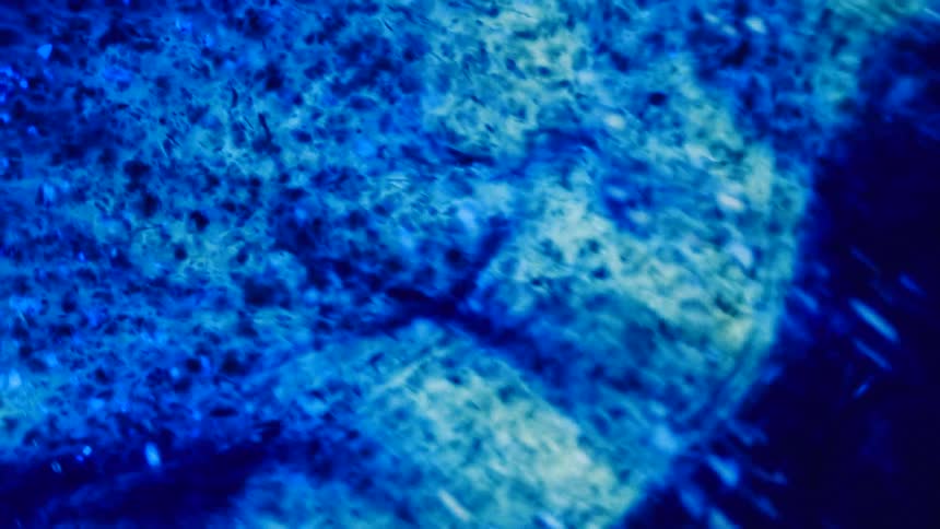 Blue mixture with various sized particles flows