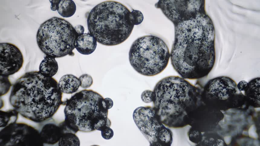 Blueberries float in thick cream