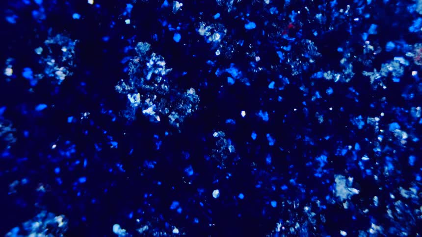 Some particles float together on surface of fluid as others remain submerged