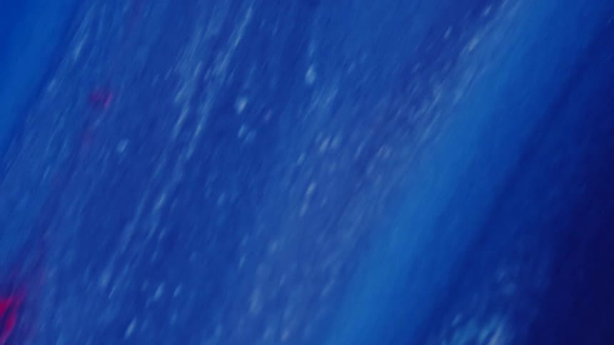 Lines and red marks are visible in a blue feather under a microscope