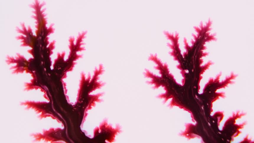 A red gellike liquid spreads like veins