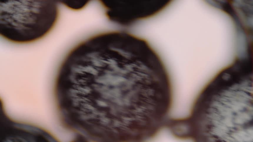 Gray textured spheres and blobs are connected and cast a shadow as they sit on a white surface