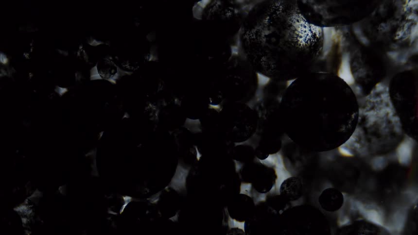 Black objects floating