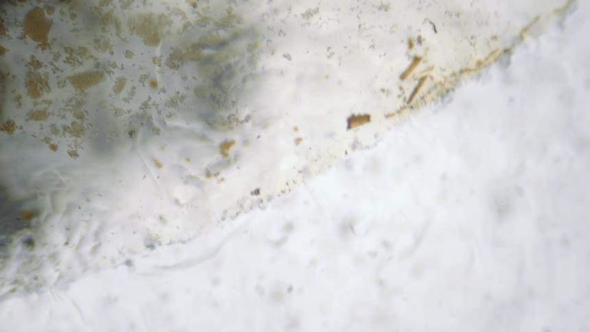A clear gel like substance with gold flecks moves over a white surface