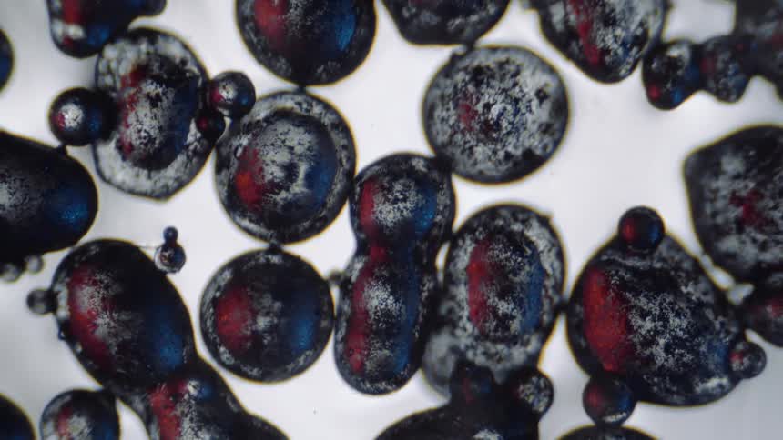 Blue and red dabbed globs are speckled with black on gray