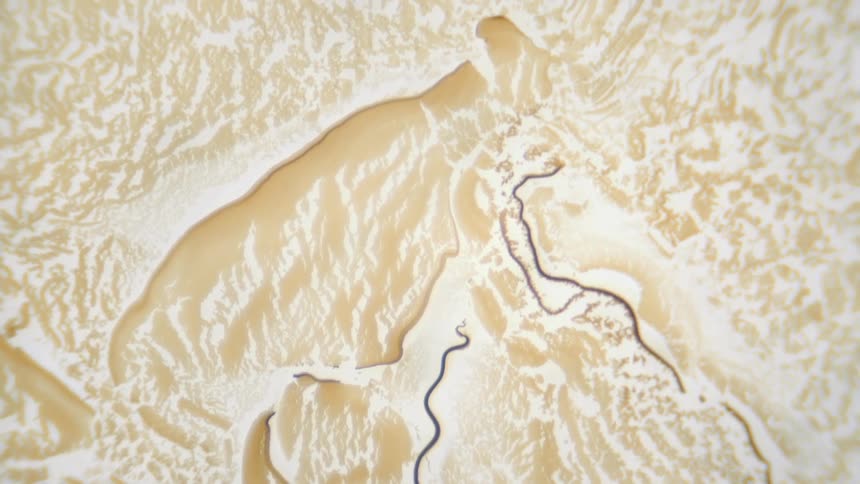 Dark thin lines move through a hazy pattern