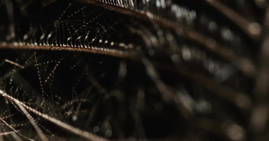 A textured black surface