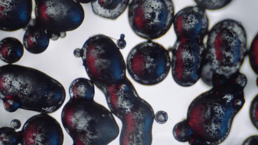 Red and blue dabbed speckled blobs cluster together as they float