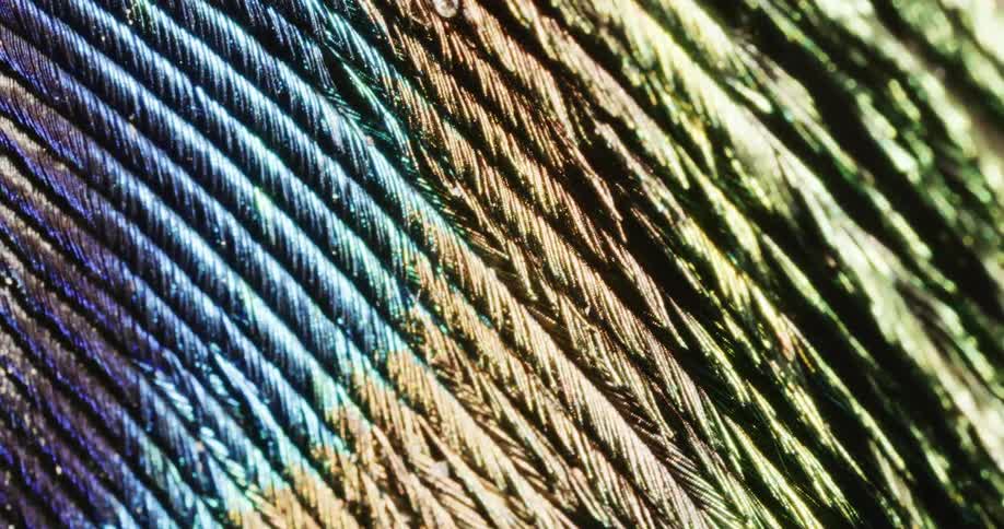 A light pans over black fibers