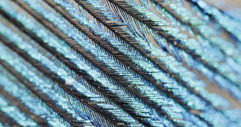 Parallel notched ribs on metallic surface shine as light brightens before it fades