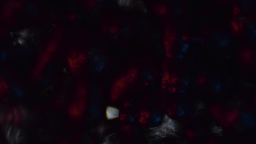 Water flows over stones that are colored red blue and white