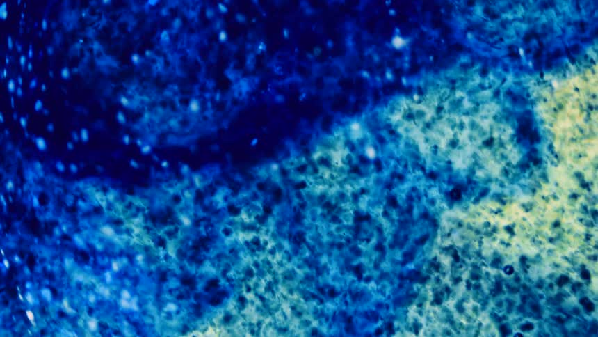 Glowing blue particles move as they float upward in an electric blue environment that changes to light blue
