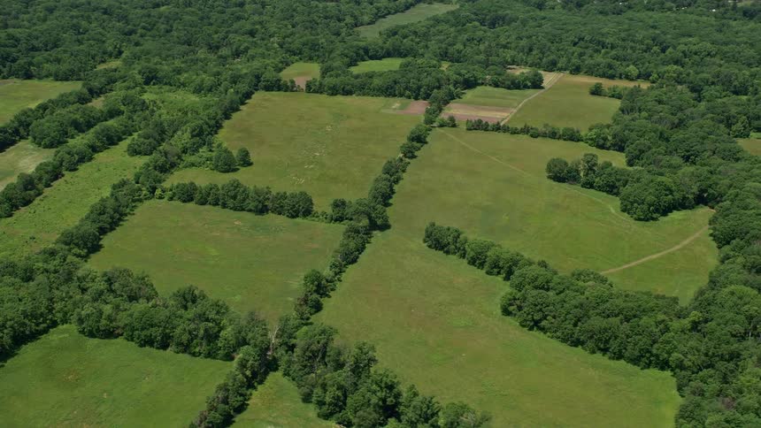 A stunning aerial view of green pastures and farmland surrounded by trees in Belle Mead New Jersey during a sunny summer day