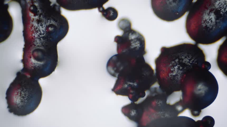 The cells float around in the liquid