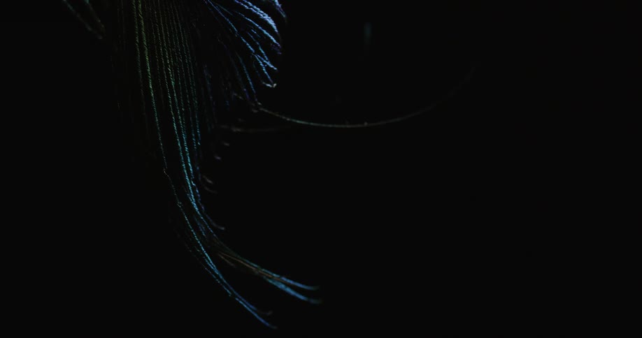 The light shuts off on the feather