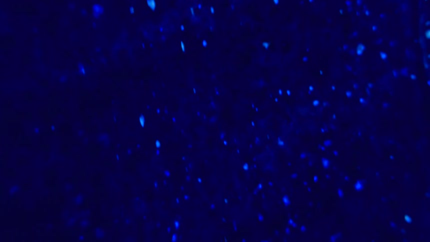 Glowing blue dots move as they float upward in an electric blue environment