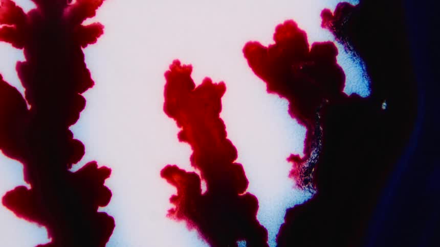 The ink mixes with the foam