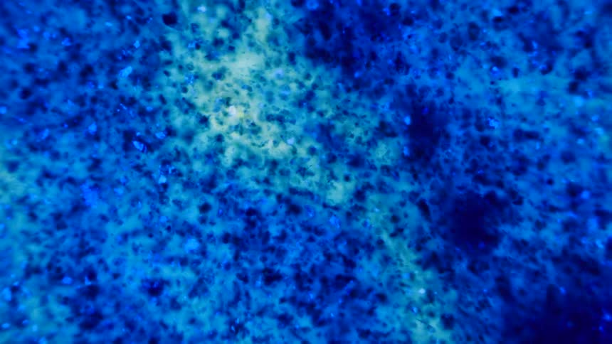 The clear gel is full of blue spheres