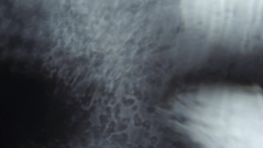 Translucent particles float and move in a rippling foggy environment