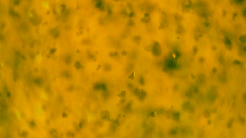 Close up of abstract changing colorful liquids with fragments