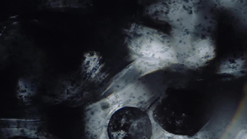 A clear liquid with translucent gray speckles ripples as it moves over soft glowing spheres