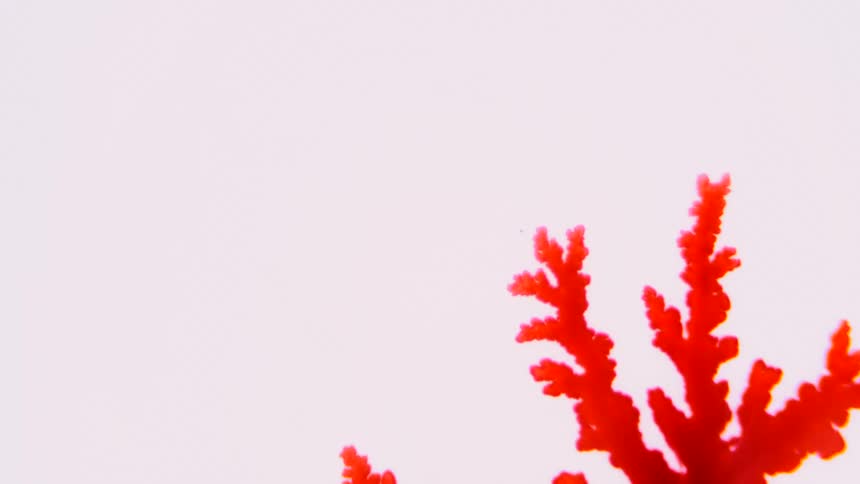 Red tendrials move across the screen before becoming black and expanding rapidly